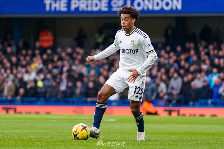 比如草坪状 比如草坪状